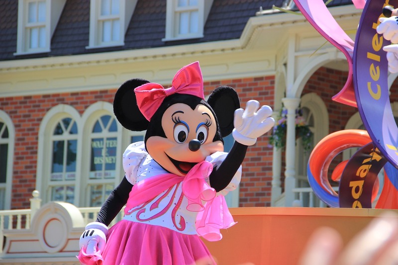 Walt Disney Orlando Executive Transport Services